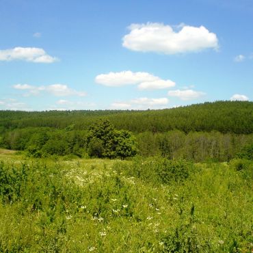 Емельяново