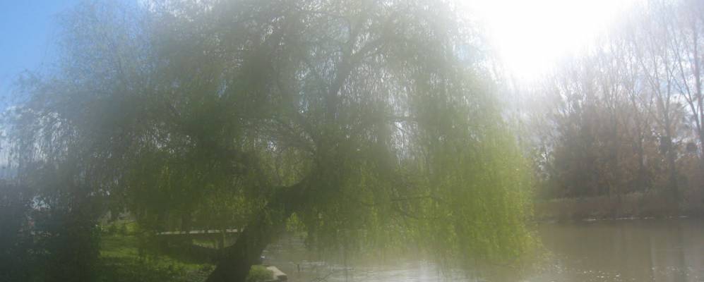 
            Фотография Фонтенэ-сюр-Луана