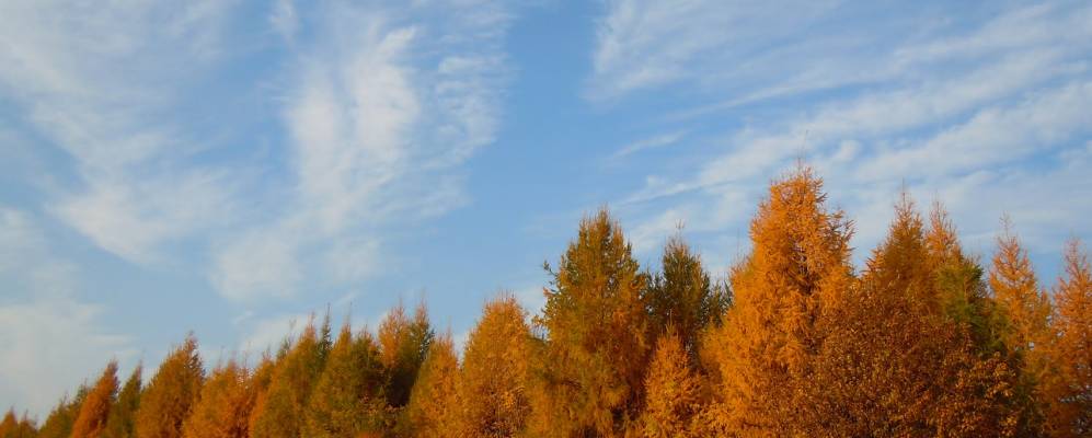 Фотография Тенеево