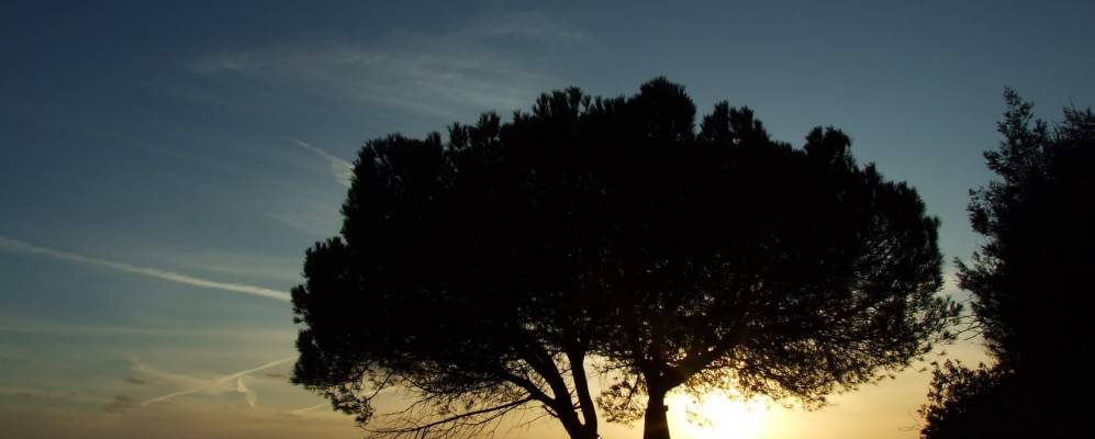 
            Фотография Масагона