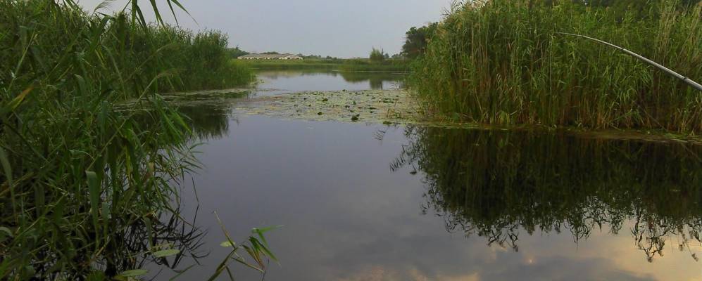 
            Фотография Знаменки