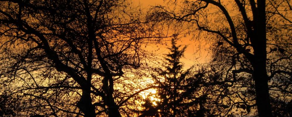 
            Фотография Ано Пороии