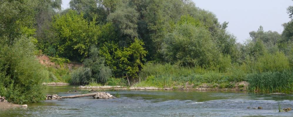 
            Фотография Мартышенки