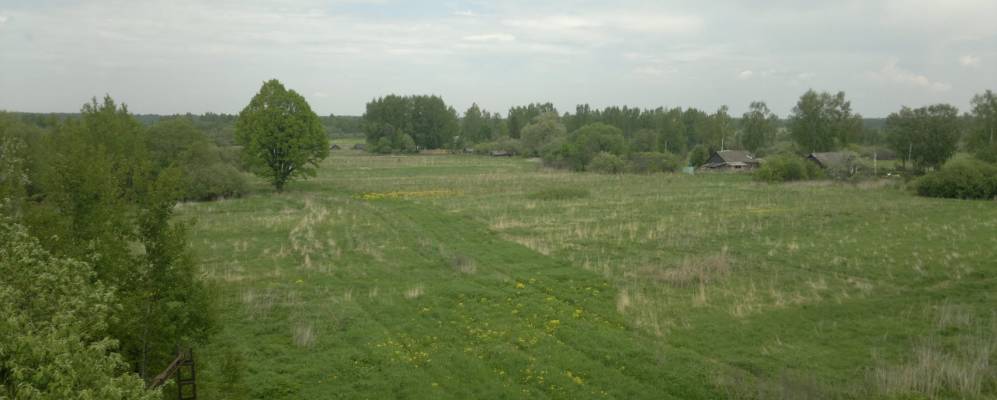 Фотография Подъяблоньки