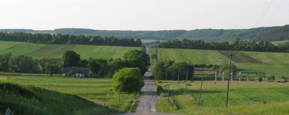 
            Фотография Куты