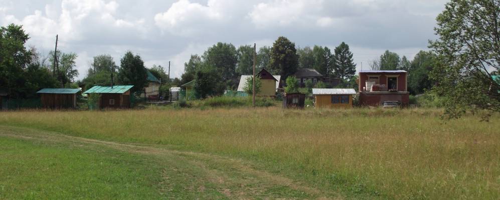 
            Фотография Голубят