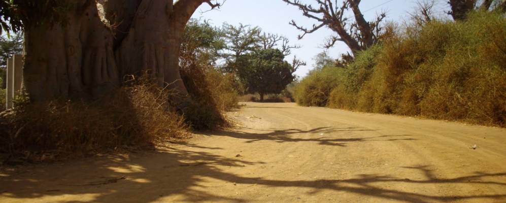 
            Фотография Пу