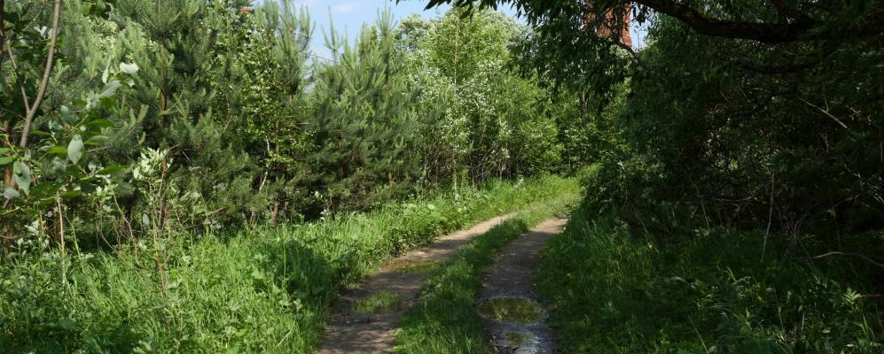 
            Фотография Гриднево