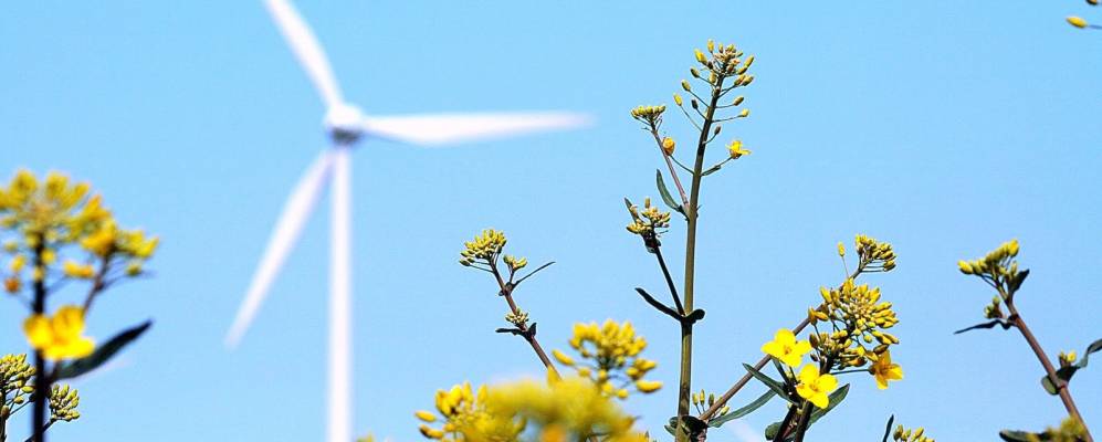 
            Фотография Шасхагена