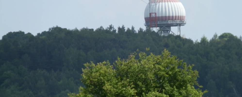 
            Фотография Тростянца