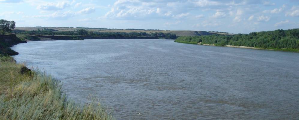 
            Фотография Бобровского