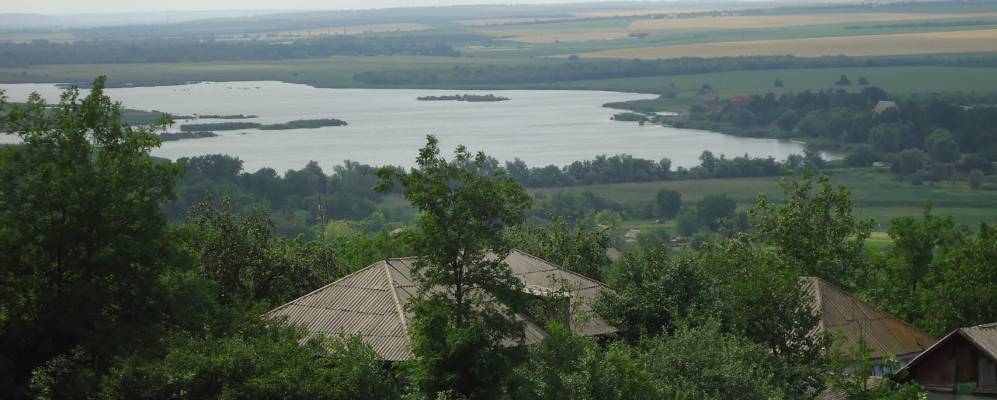 
            Фотография Бобрика Второй