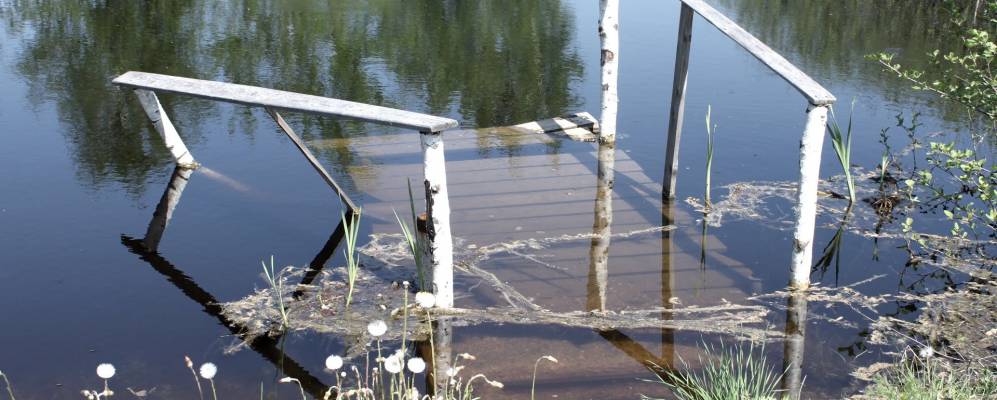 
            Фотография Пешково