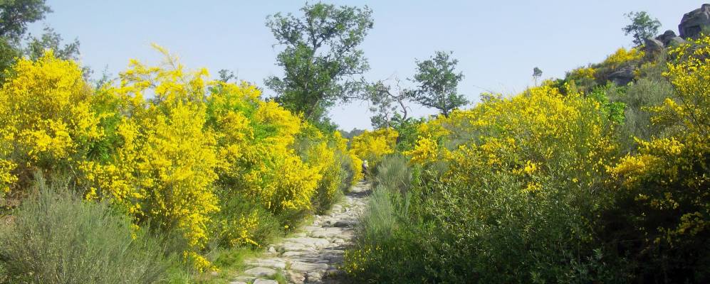 
            Фотография Кеи