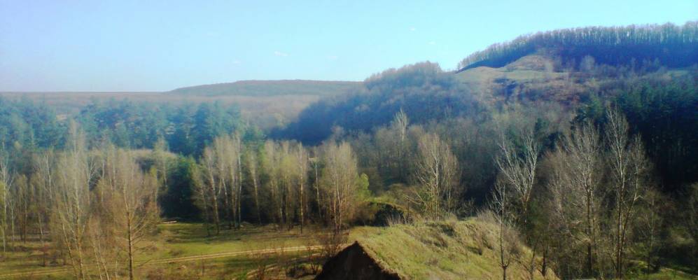 
            Фотография Чернечего Яра