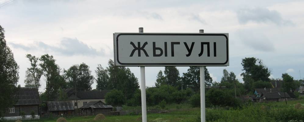 
            Фотография Брижинков