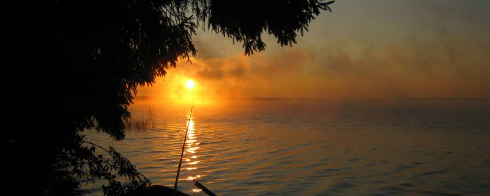 Фотография Студенки