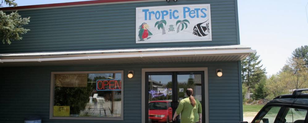 
            Фотография Уотерборо