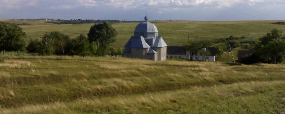 
            Фотография Белки