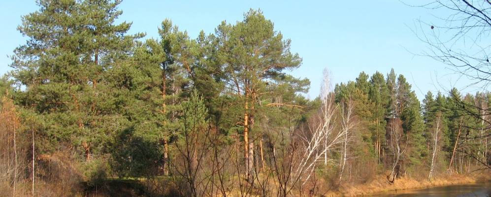 
            Фотография Взвоза