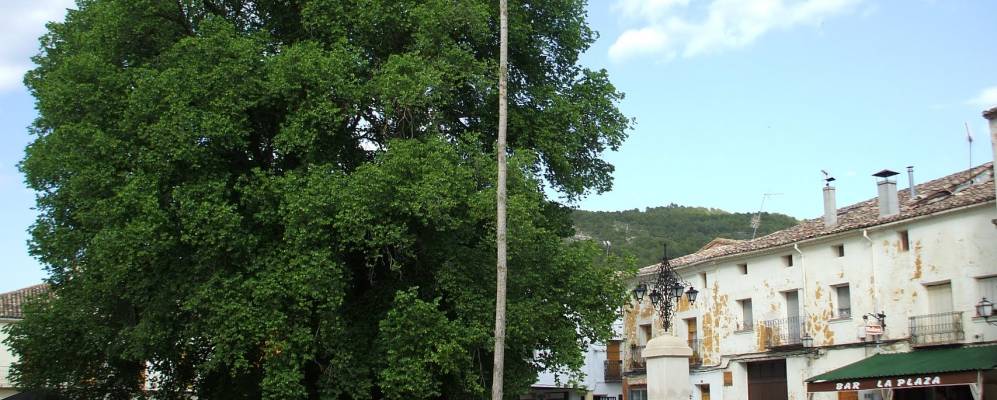 
            Фотография Пареха