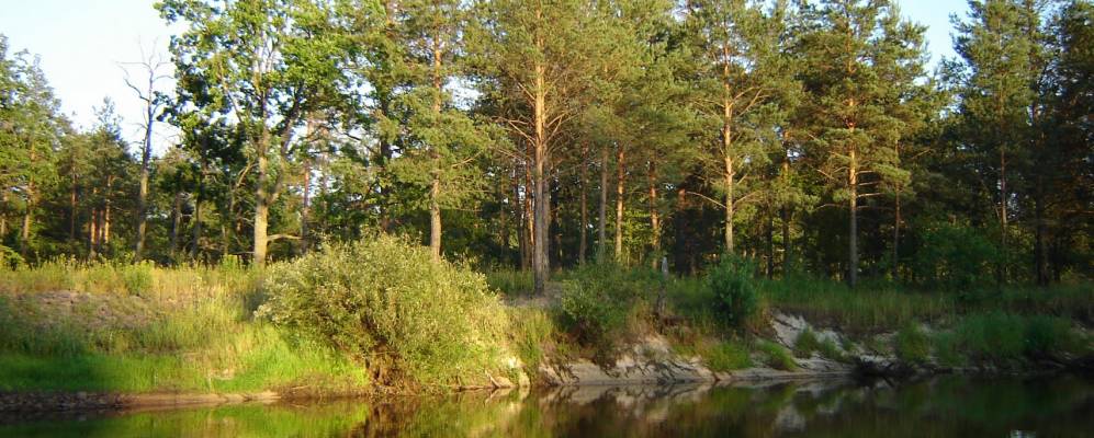 Фотография Бронислава