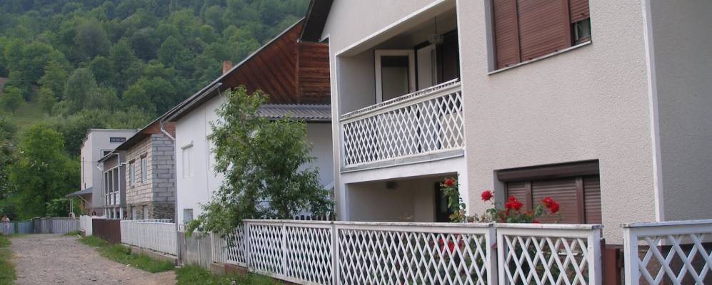 
            Фотография Подплеши