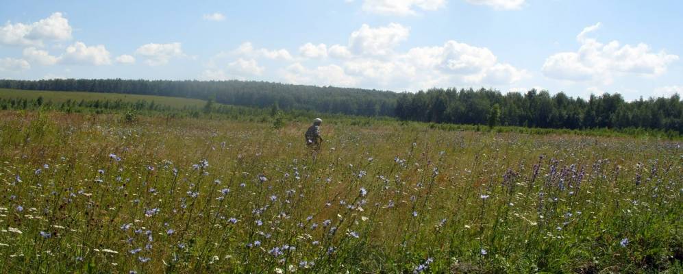 
            Фотография Нагайбаково