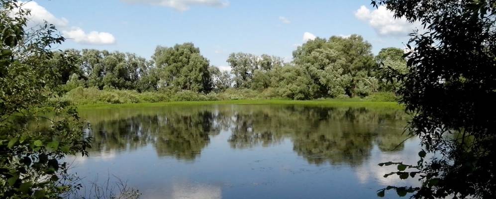 
            Фотография Петро-Давыдовки