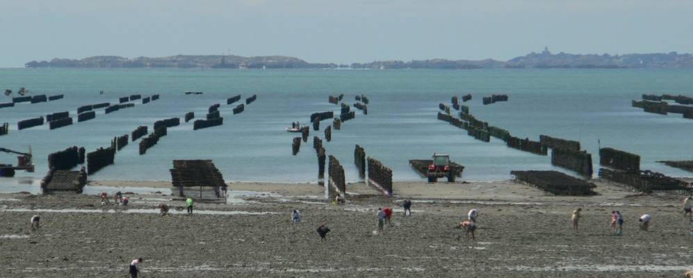 
            Фотография Донвиль-ле-Бена