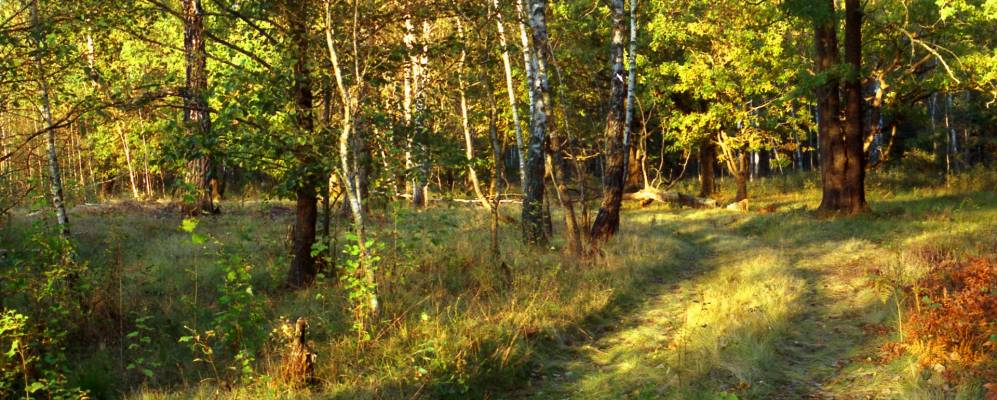 
            Фотография Михайловки