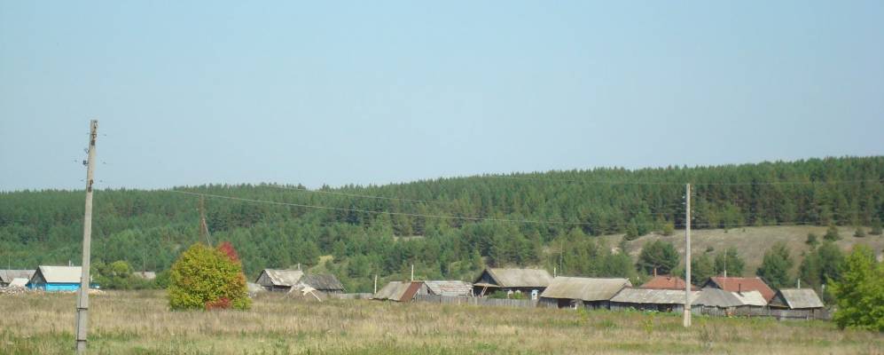 
            Фотография Шелемиса