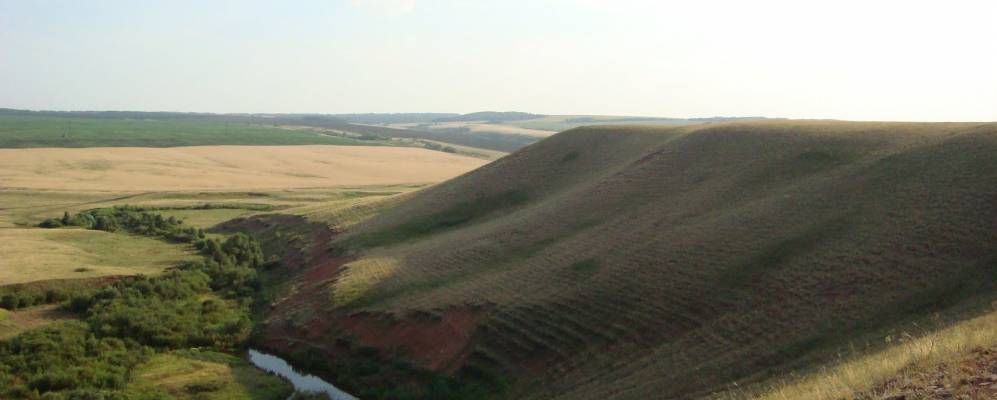 
            Фотография Мартыновки