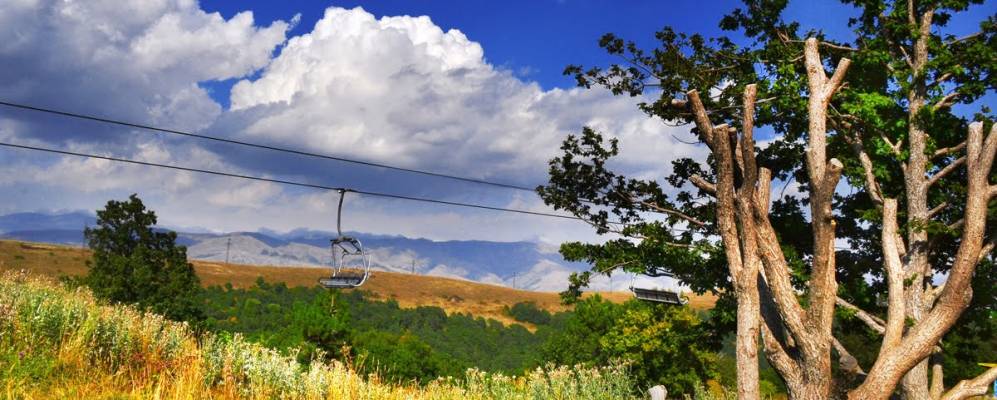 
            Фотография Агавнадзора