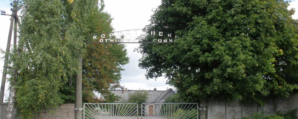 
            Фотография Искорости