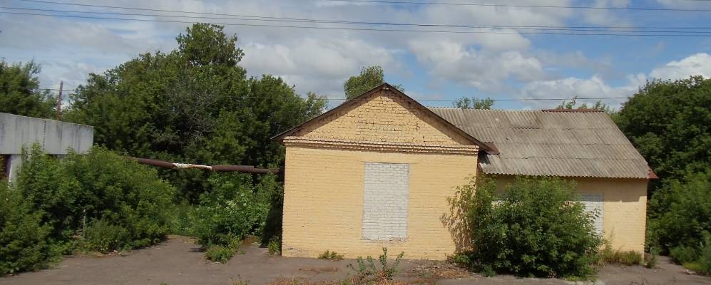 
            Фотография Афонино