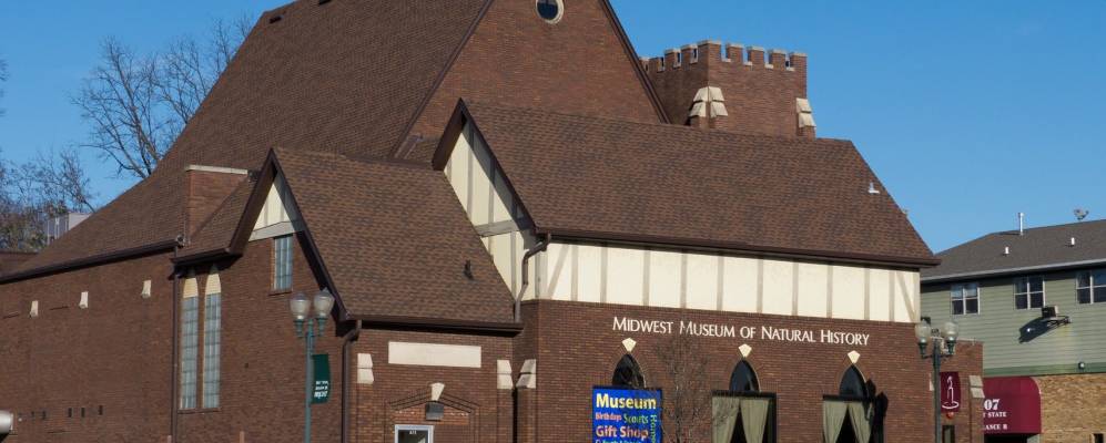 
            Фотография Сикамора