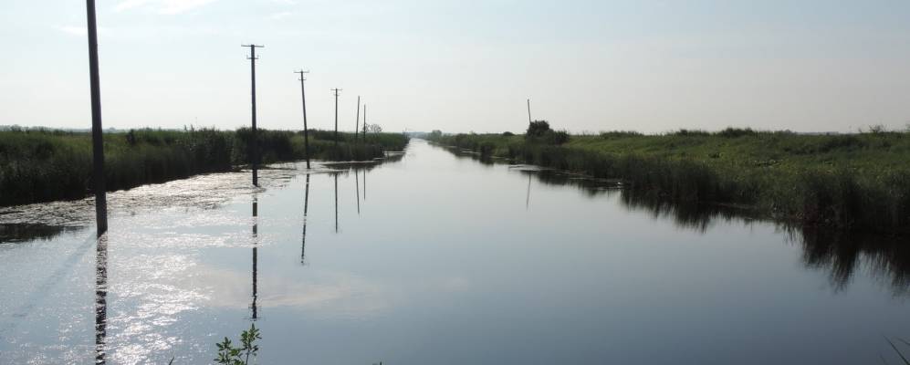 
            Фотография Беляевского