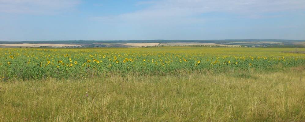 
            Фотография Кызыл-Юла