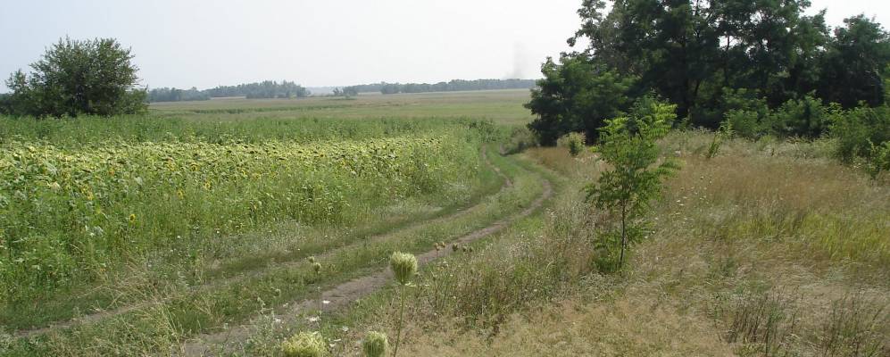 
            Фотография Кочубеевки