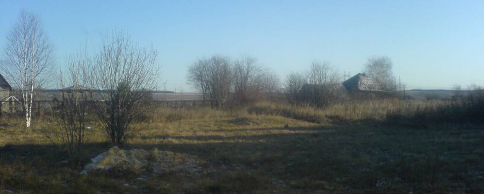 Фотография Шипицино