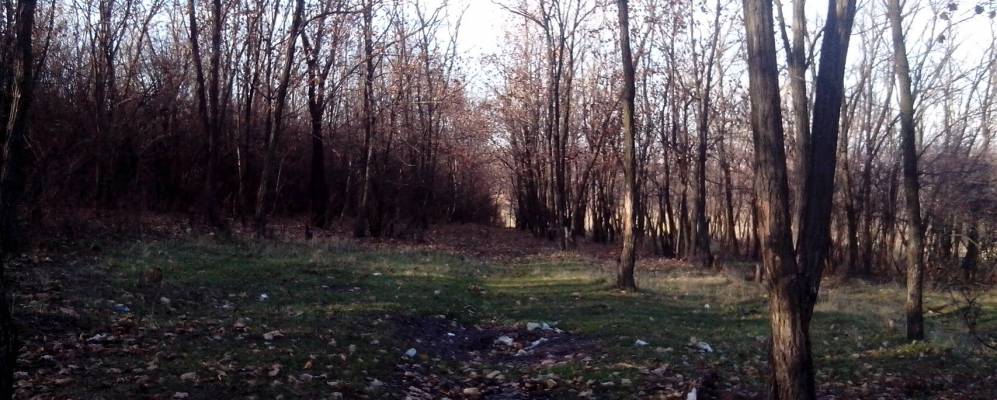 
            Фотография Дорогого