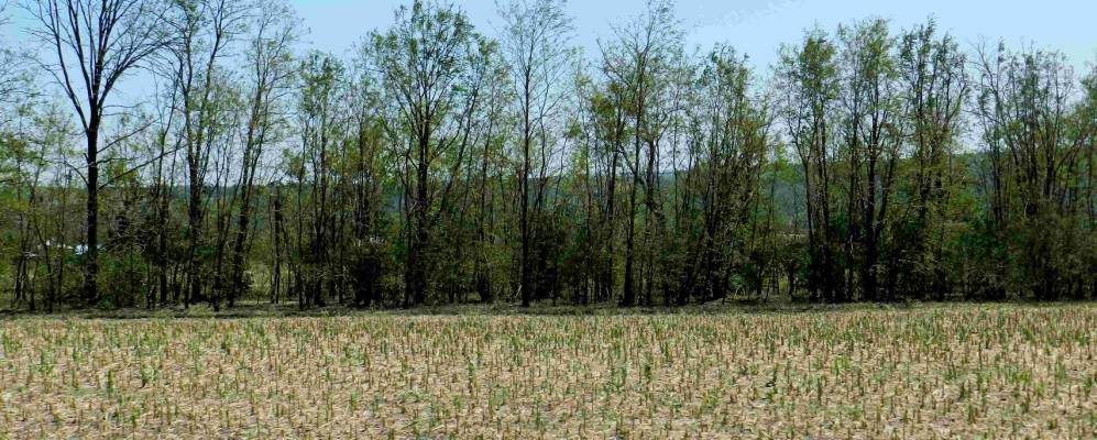 
            Фотография Отрадо-Тенгинского