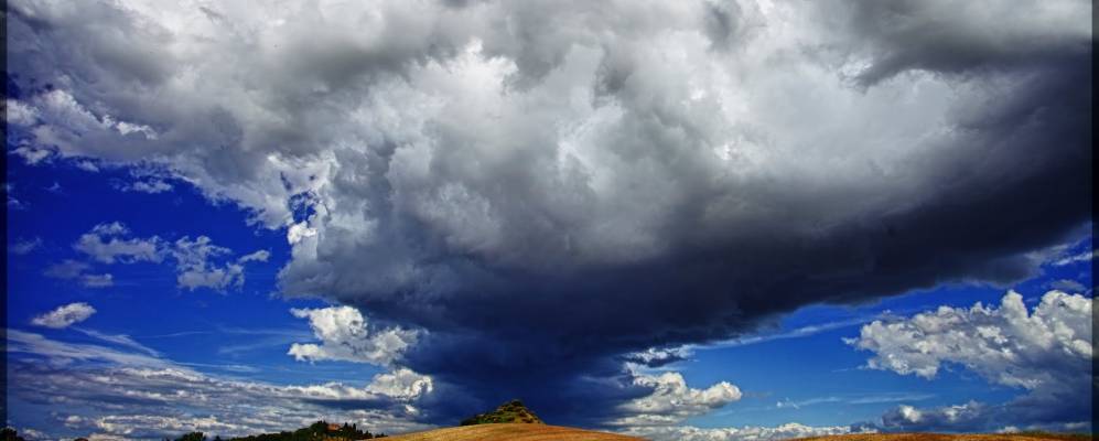 
            Фотография Касетты