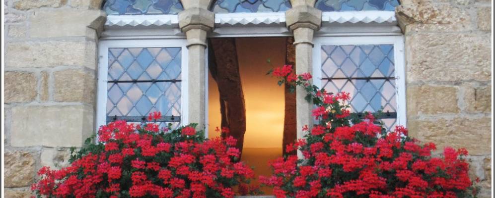 
            Фотография Домм