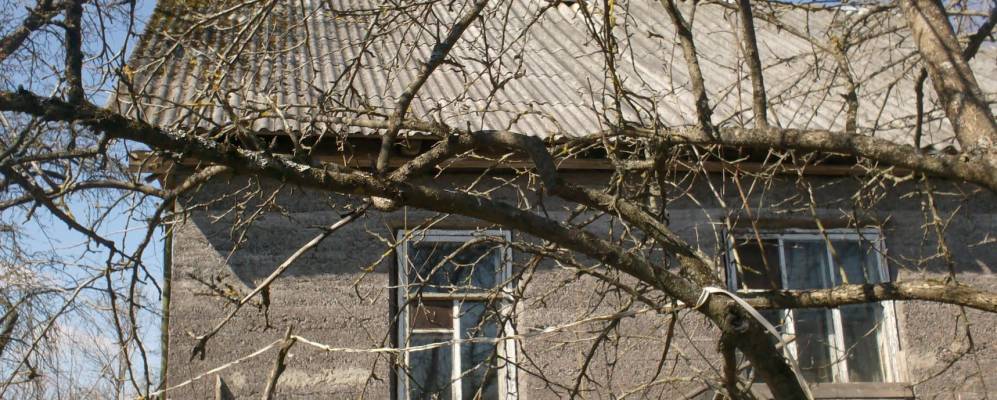 Фотография Выставки