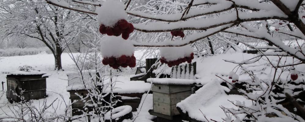 
            Фотография Шевченки