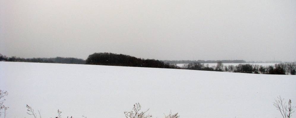 
            Фотография Фастовца