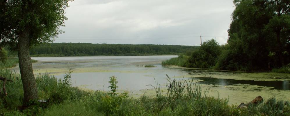 
            Фотография Черницино