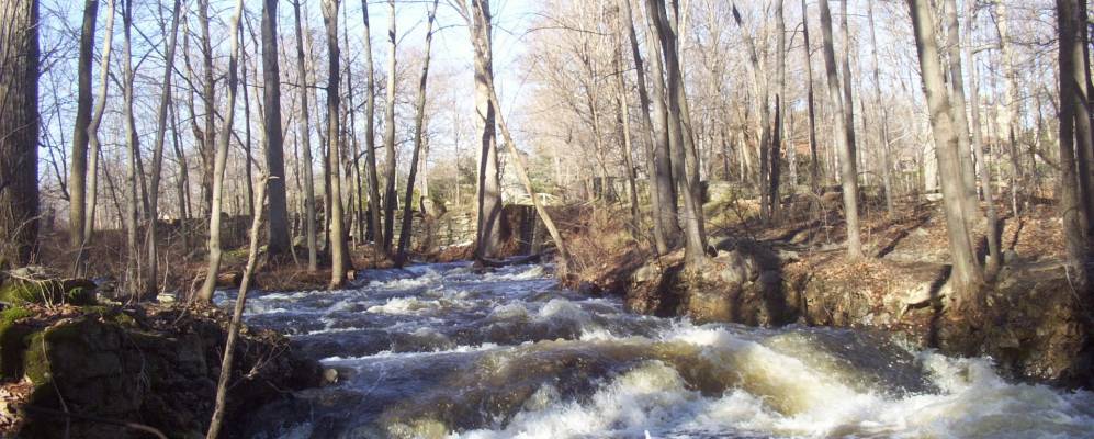 
            Фотография Гарднертауна
